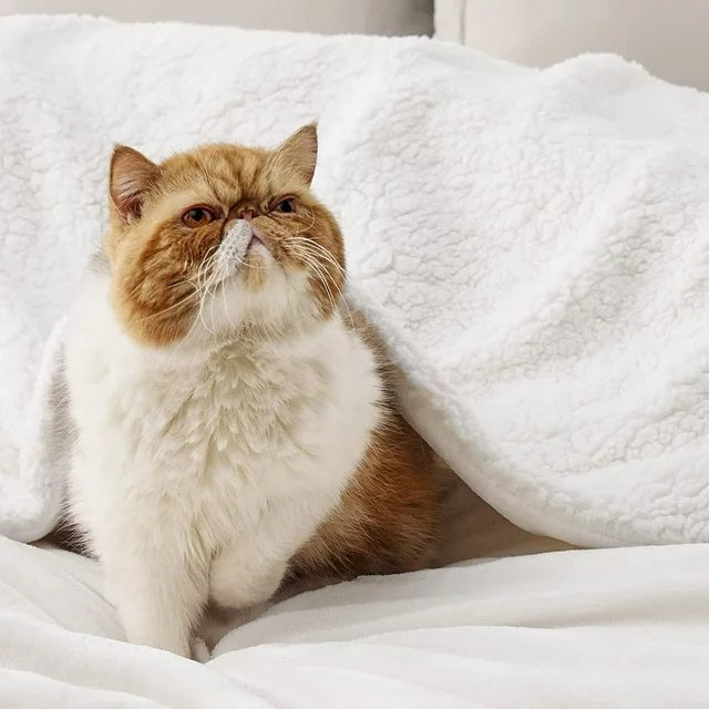 Fleece blanket, Fleece throw blanket, fluffy blanket, warm blanket, soft blanket,sofa fleece throw, sofa blankets , light cream blankets, double size